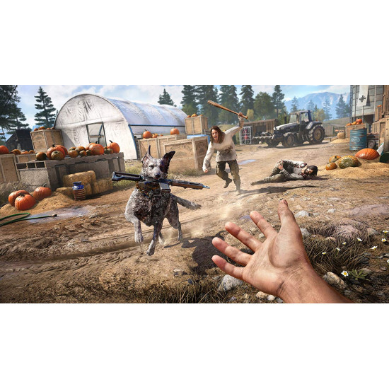 FAR CRY 5 - Used